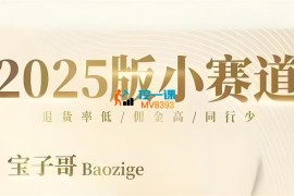 宝子哥《短视频混剪带货》