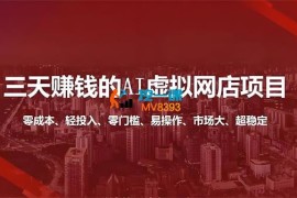 大新《三天挣钱的AI虚拟网店项目》