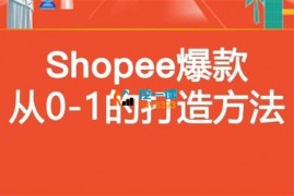 丘山《Shopee爆款打造核心运营方法》