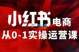 cc《小红书电商从0-1实操运营课》