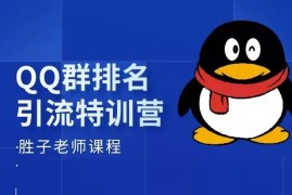 胜子《QQ群排名引流特训营》