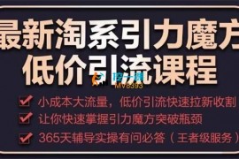 滔哥《最新淘系引力魔方低价引流》