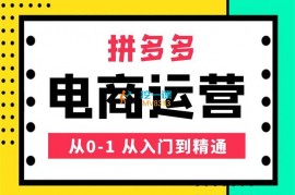 嗝姐小乔《拼多多运营从0到1》