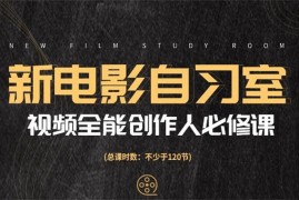 怒豆渣《视频全能创作人必修课》