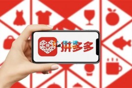 纪主任《拼多多活动技巧大全》