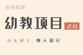 叛逆稻草《幼教项目玩法2.0》