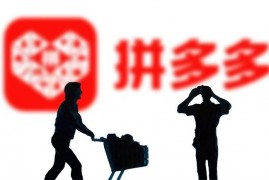 轻语社群《拼多多VIP会员课程》