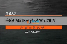 唐主《跨境电商实操课程从零到精通》