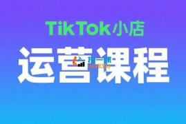 老杨《TikTok海外小店运营实操》