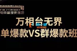 陈雷《万相台无界单爆款VS群爆款班》