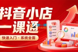 李老师《从0到1学会抖音小店系统课程》