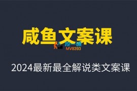 咸鱼《2024最新最全解说类文案课》