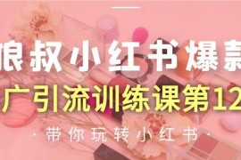 狼叔《小红书爆款推广引流训练课第12期》