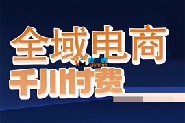 仲学汇《全域电商粗暴玩法系统精品课》