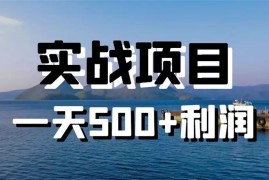 叁心笔记《群员分享实战项目,一天500+利润》