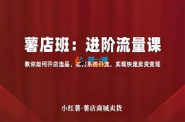 幕思城《薯店班进阶流量课》