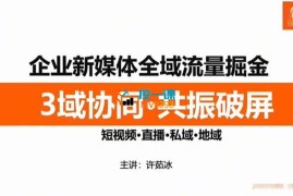 许茹冰《企业新媒体全域流量掘金》