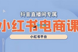 爽儿《小红书电商高级运营》