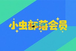 小虫部落会员《拼夕夕+淘系玩法》