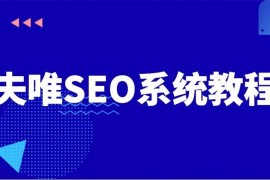 夫唯SEO系统教程