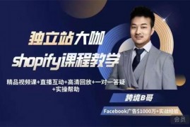 跨境B哥《shopify独立站运营课》