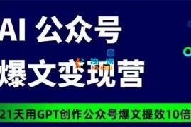 台风《公众号爆文变现营07期》