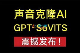 涛哥《GPT-sovits模拟真人配音教程》