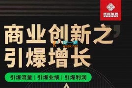 张琦《商业创新之引爆增长》