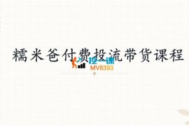 糯米爸《付费投流带货课程》
