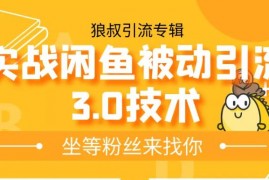 狼叔实战闲鱼被动引流3.0技术