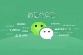 倪叶明《蓝海公众号矩阵项目训练营》