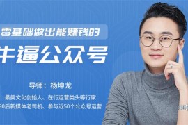 杨坤龙《零基础做出能赚钱的牛逼公众号》