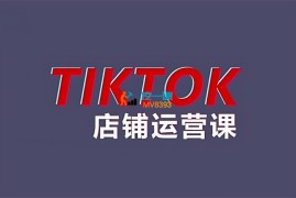 万老师《2024TikTok小店运营课程》