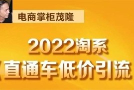 茂隆《2022淘系直通车低价引流》