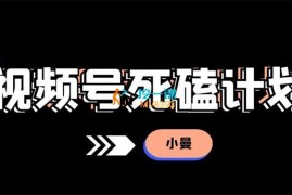 小曼《视频号死磕计划》