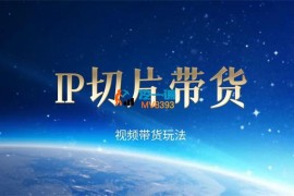 张兰《IP切片挂车视频剪辑课程》