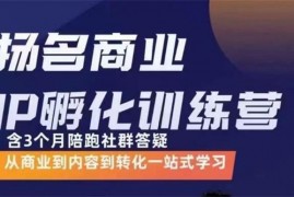 王扬名《商业IP孵化训练营》