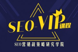 SEO到底咋做？搜索引擎优化总监实战VIP课堂【透析2020最新案例】