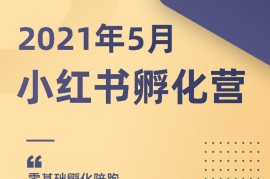 勇哥《小红书撸金快速起量陪跑孵化营》