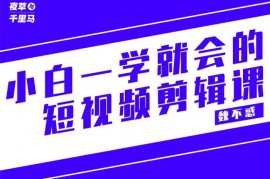 魏不惑《小白一学就会的短视频剪辑课》