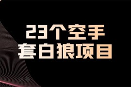 23个空手套白狼项目大合集