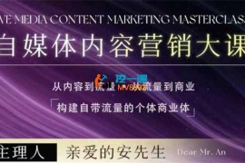 安先生《5.0自媒体内容营销大课》