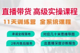 俗人六哥《直播带货高级实操课程》