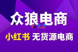 余文《小红书无人直播最新玩法》