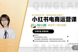 零零《小红书电商运营入门到精通》