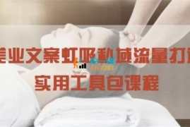 王伟《美业文案虹吸私域流量打造》