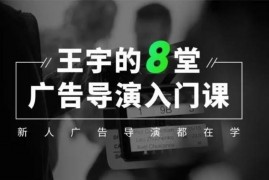 王宇《广告导演8堂课》