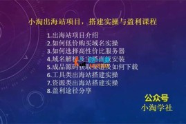 小淘《出海站项目》