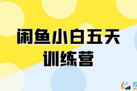 卓让《闲鱼小白五天训练营》