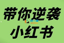 老夏《带你逆袭小红书》